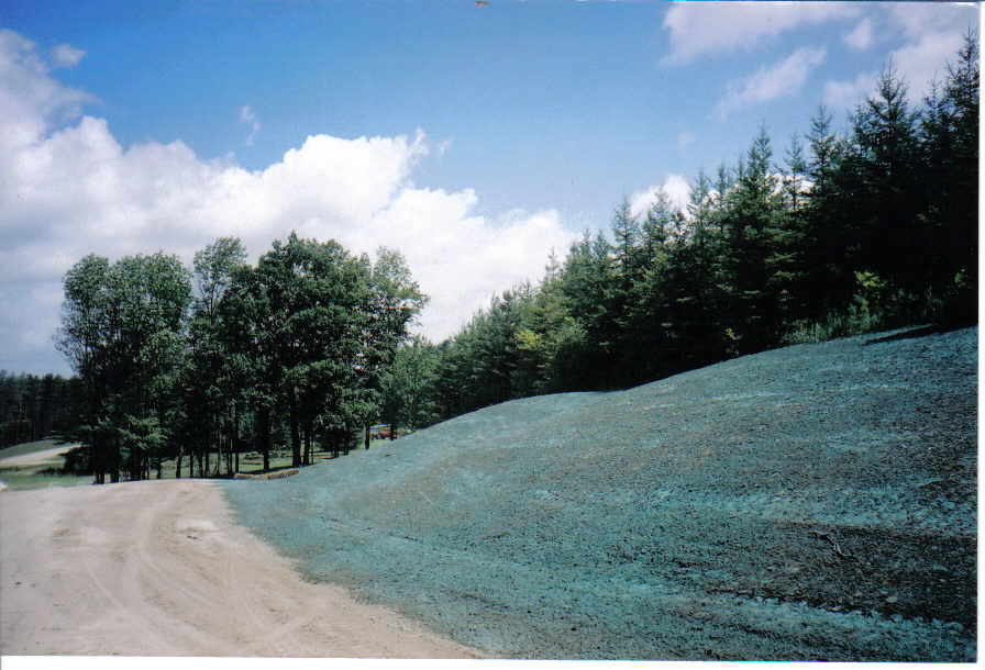 willseed hydroseeding