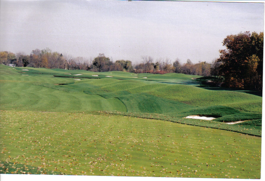 willseed hydroseeding