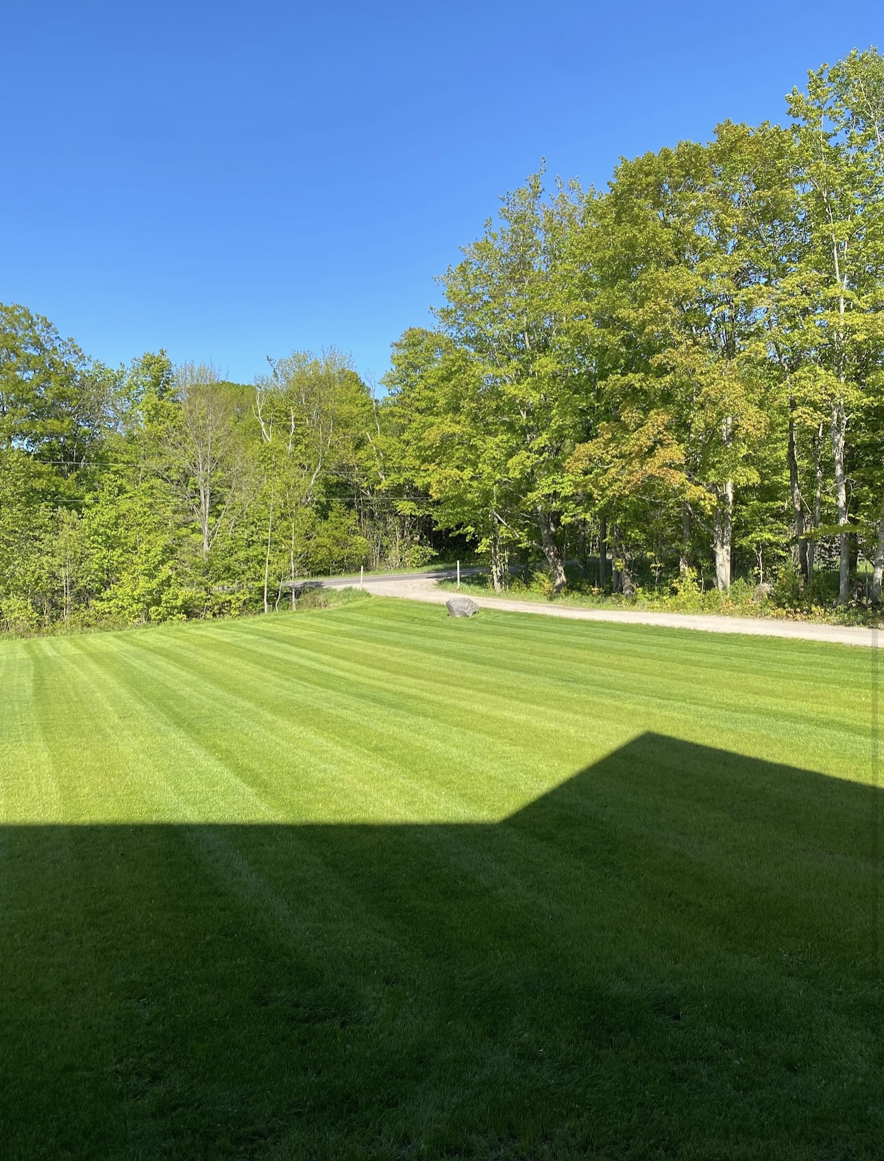 willseed hydroseeding