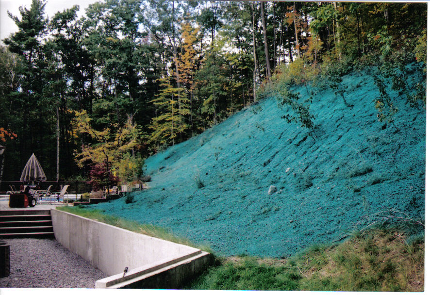 willseed hydroseeding