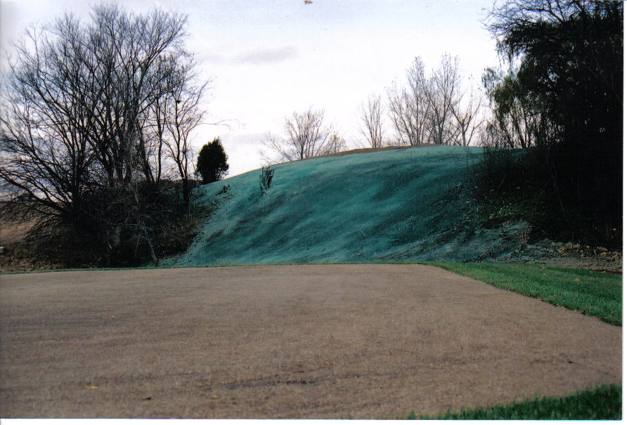 willseed hydroseeding