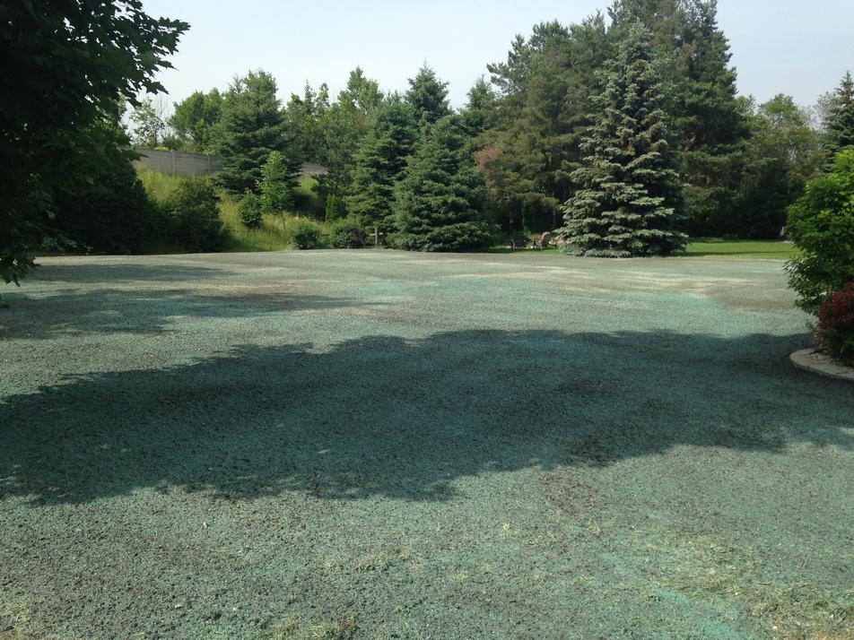 willseed hydroseeding