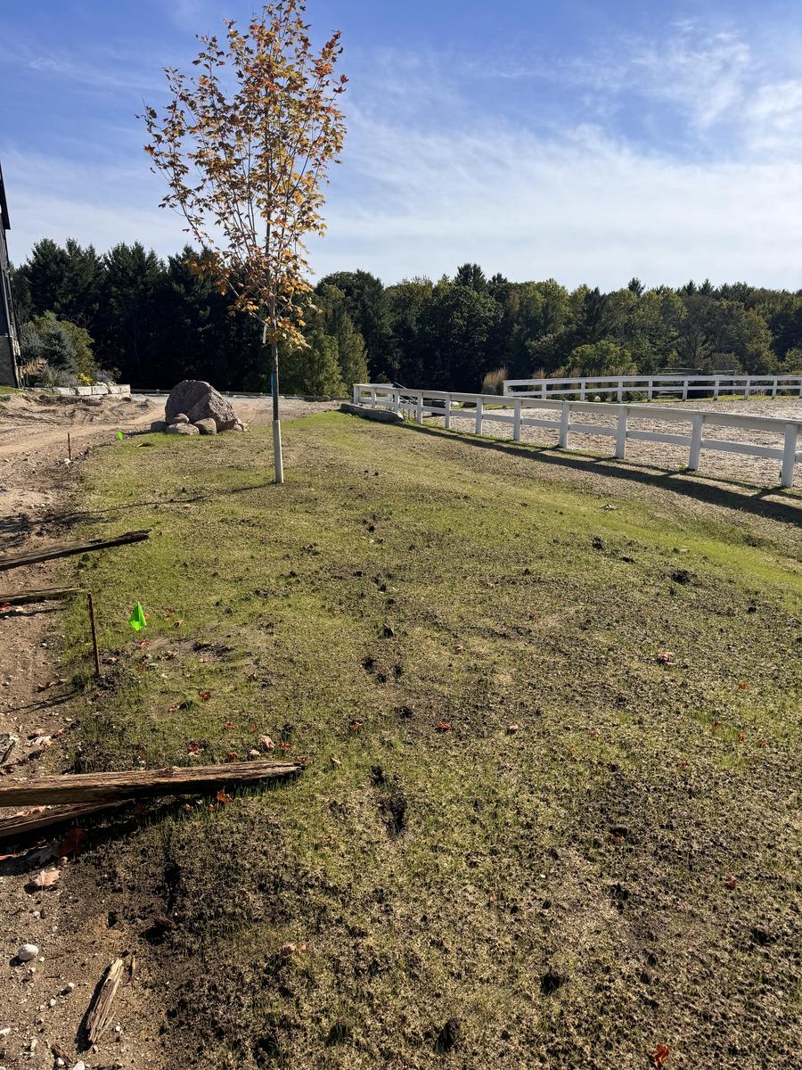 willseed hydroseeding